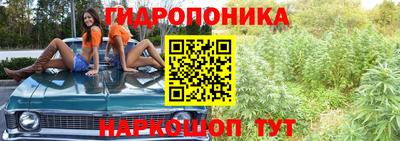 мет Ливны