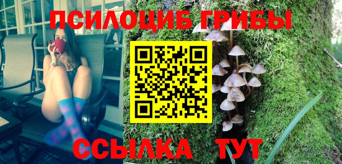 Галлюциногенные грибы Psilocybe Бахчисарай