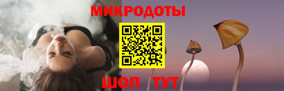 Бахчисарай  Псилоцибиновые грибы Psilocybe  Вход с VPN 